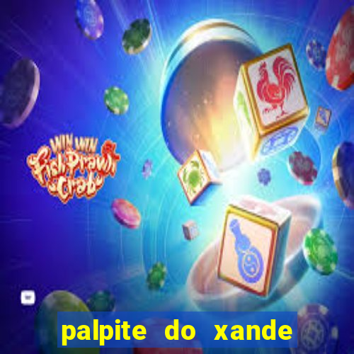 palpite do xande para hoje